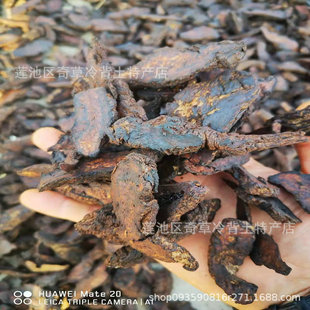 ����,�����S,���S,Ұ���S,�Ɖػ�,ɽ����,���l��ș�������B�