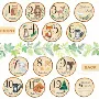 婴儿宝宝新品木纹木片
