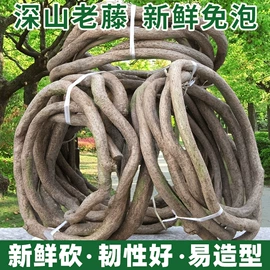 仿真绿植;仿真花;仿真藤条