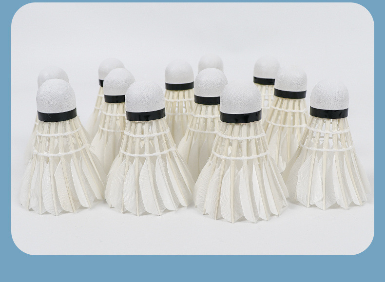 363e35e5-bbf9-4510-9fdd-0523b238d710.jpe