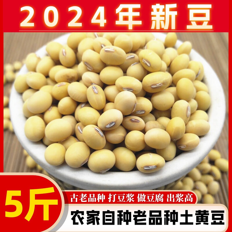 今年の新豆は、農場で栽培された非遺伝子組み換えの土豆です。豆乳を作るための楕円形の古い品種です。|undefined