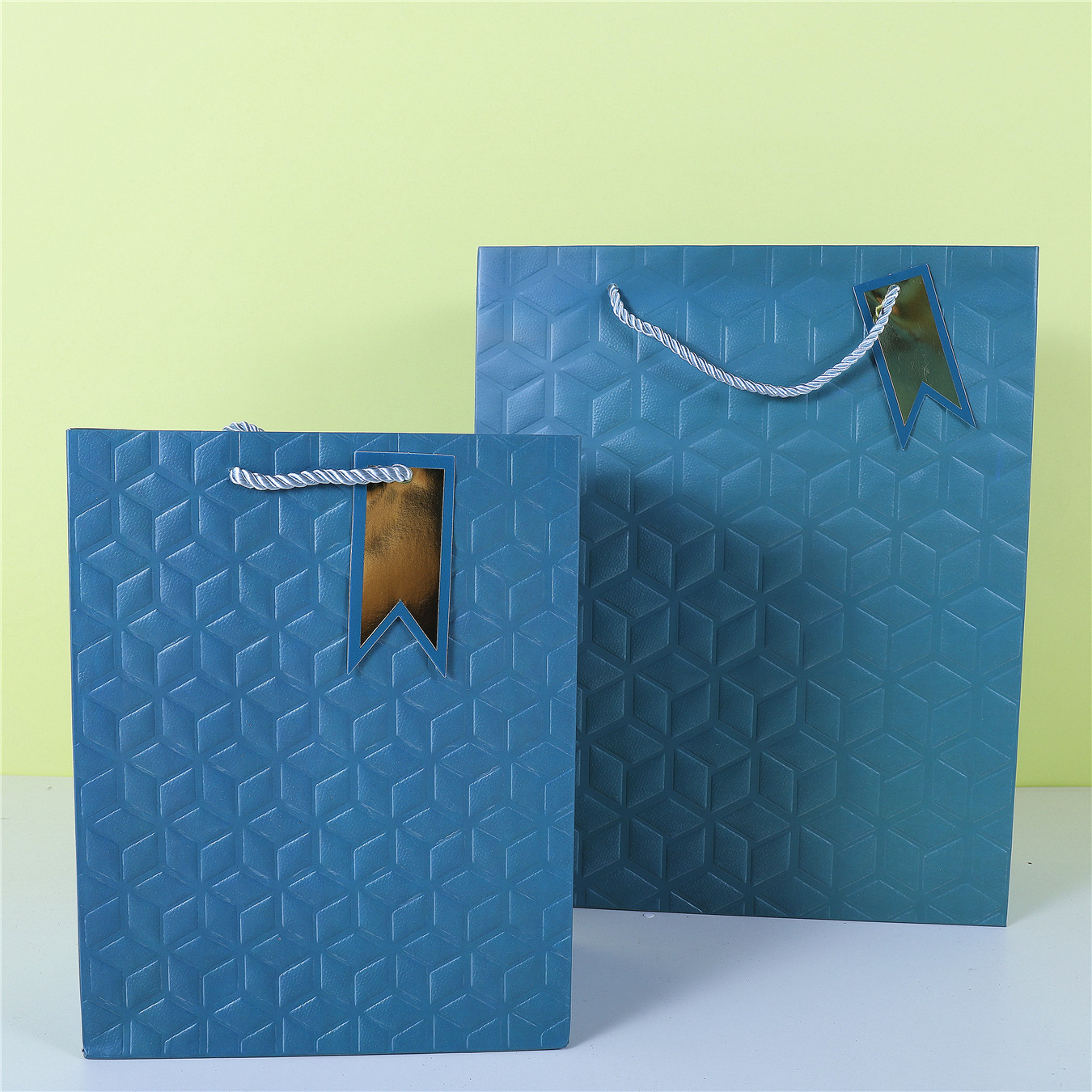 跨境外貿淺壓紋帶吊牌掛卡紙質白卡禮品袋子 單色210克白卡深壓紋