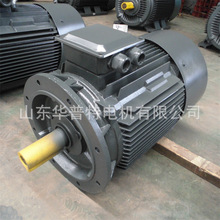 出口双速电机V1立式安装,交流YDT-315L-4/6 400V 110/75kW三相