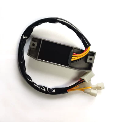 VS600 VS600GL VS750GL – electronic regulator