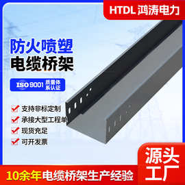防火电缆桥架300*150金属桥架 电缆槽盒防火喷塑桥架 工程桥架