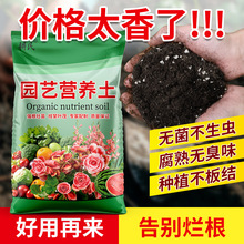 �I�B�������B���N�ˌ�������������ͨ���ͷNֲ���@ˇ������������