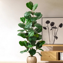 ���Ʒ���Gֲ���~�Ł��R�d�����҃��쾰�辰�߷��溆�s�Gֲ�쾰