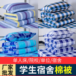 Winter Single Bed Cotton Quilt Warm Quilt Core School Bunk Bed Quilt Student Dormitory Bedroom Quilt Pure Cotton