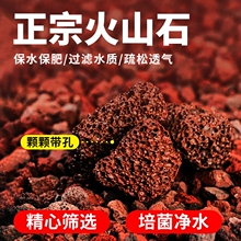 天然火山石颗粒养鱼缸造景底砂多肉兰花石铺面石植料水质土壤