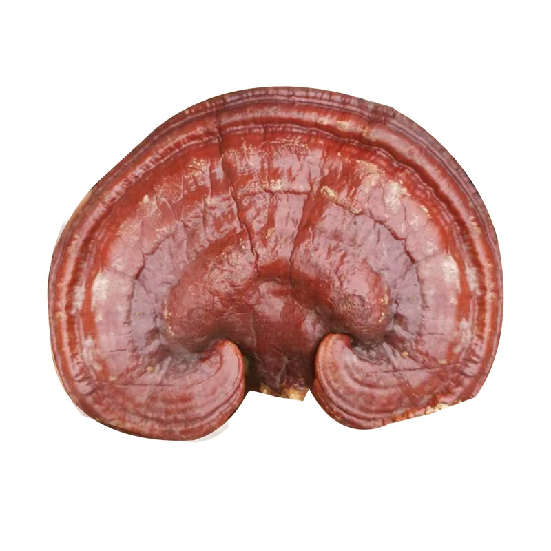 Ultra-fine purple Ganoderma lucidum whole bitter red Ganoderma lucidum extremely fine powder red Ganoderma lucidum diced Ganoderma lucidum slices gift box boiled in water and soup natural