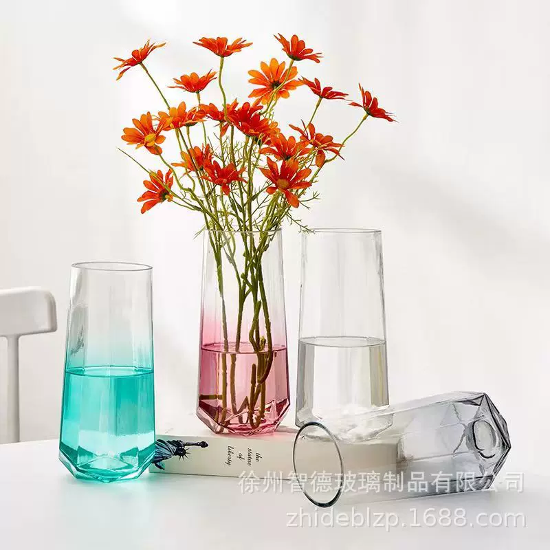网红轻奢简约玻璃花瓶 ins风绿萝水养鲜花玻璃插花瓶客厅装饰摆件
