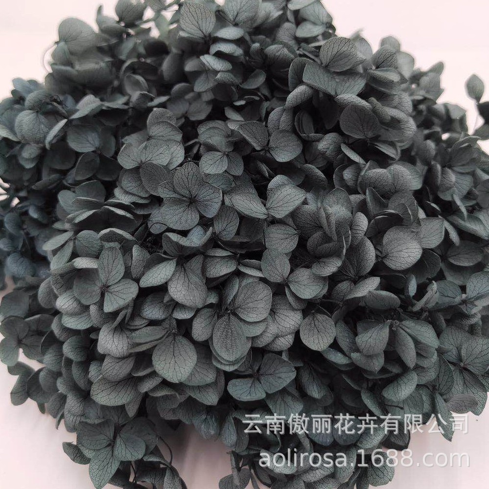 Grado A Anna Hortensia flor permanente flor seca Hortensia de hoja pequeña 20g Hortensia en caja fábrica al por mayor MATERIAL DE FLOR DE San Valentín