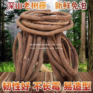 ���ٿ����ٗl�b���ɽ�ټ������ܵ���֦�҃ȿ͏d��ֲ���b���