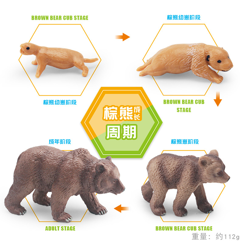Simulación transfronteriza bosque animal oso pardo modelo de ciclo de crecimiento cognición infantil oso pardo proceso de transformación de crecimiento adornos