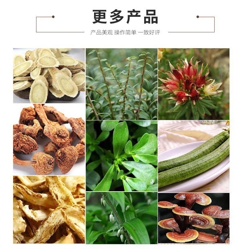 木材模板-浅绿色_06