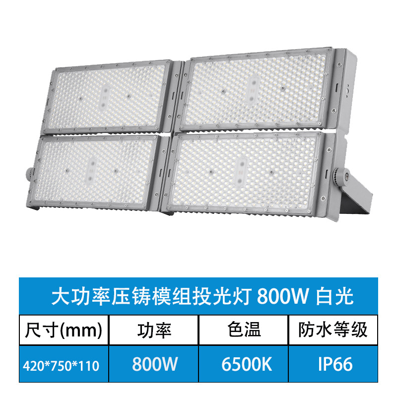 800W (chip Puri + fuente de alimentación de protección contra rayos)