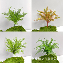 ����ֲ��ާ���ָ�ܛ�z�~Ƭֲ��Ҿ��쾰�����b�c�b�