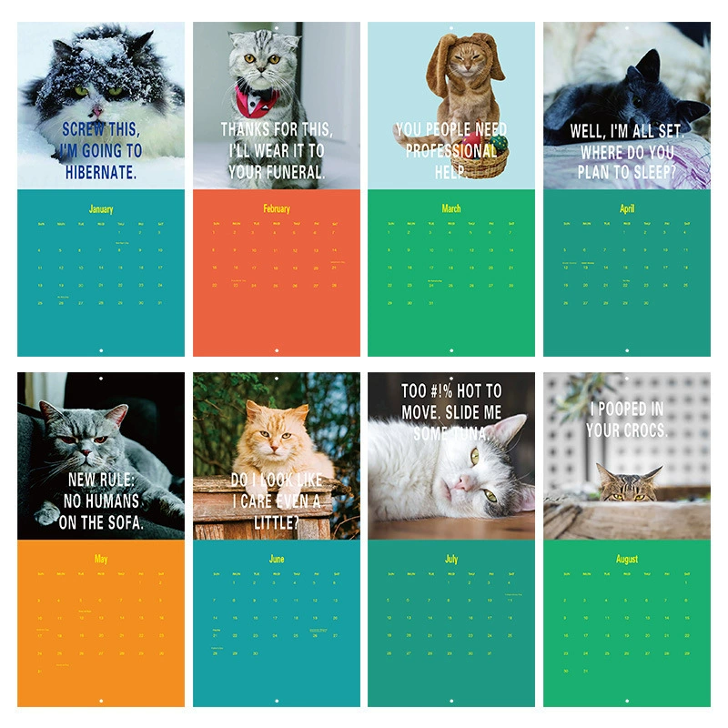 Кросс-бортные новые продукты 2026 календарь злого кота Angry Cat Calendar Horseback Stud Style Spot