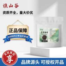 谯山谷薄荷梅肉100g即食水果干果脯蜜饯办公室休闲零食可代发批发