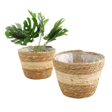 ���R�d�羳�ݾ������پ����軨�@�����������Ѳݻ���ֲ�﹤ˇƷ