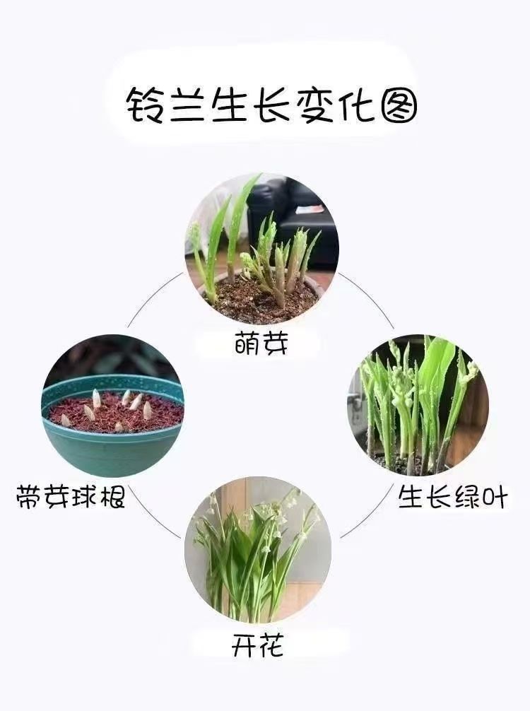 b251e400-fcb5-4ff9-8c01-9fbe057bcd41.jpe