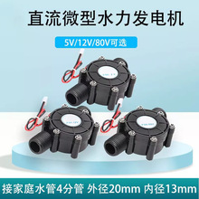 5V12V80V直流发电机小型水力试验发电机管道式微型水力发电机水