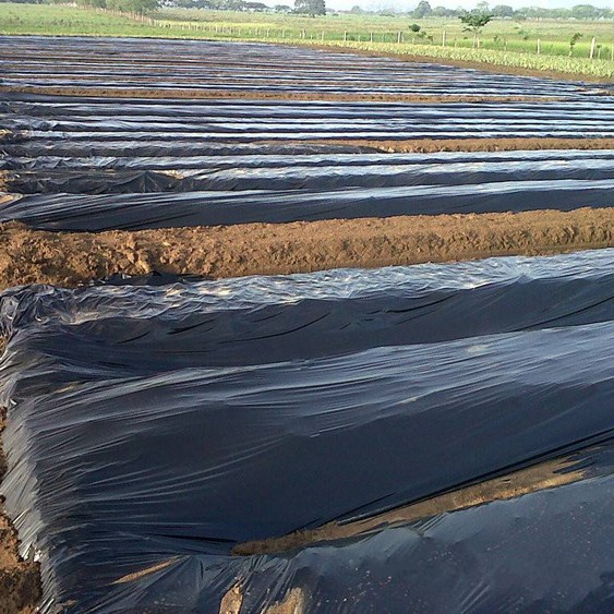 供应1米1.2米1.5米2米4米黑地膜除草膜黑地膜黑白膜银黑膜