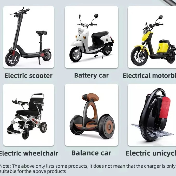 60V 3A Lithium-Ion Battery Charger for Electric Bicycles and