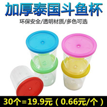 鱼瓶加厚泰国斗鱼杯海藻盒水母杯小鱼缸高透明塑料爬虫杯宠物盒子