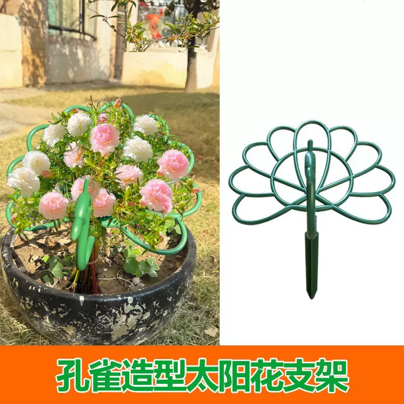 太阳花孔雀架室内花架太阳花造型单层花架固定支撑架花卉支撑架园
