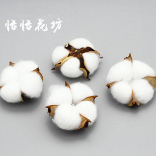 �޻��ɻ���ɫ�^��֦DIY�b��������Ĕz���ߔ[���S��ֱ�N�羳���l