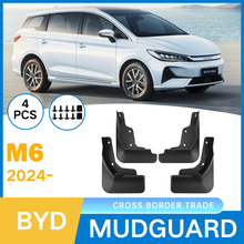 Q羳m춱ȁByd M6 2024܇݆̥ܛzƤb