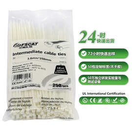 白色扎带尼龙一次性工业级25cm强拉力封口束线带全新塑料收紧