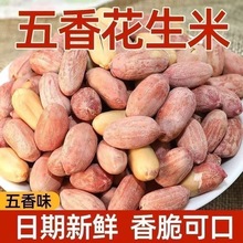 批发山东新货五香多味烘烤花生米下酒菜散装椒盐花生香酥休闲坚果