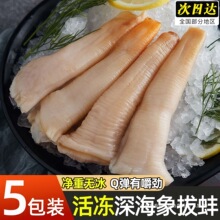 深海鲜活象拔蚌速冻生鲜海鲜冷冻水产新鲜现捕整箱顺丰鲍鱼食用无