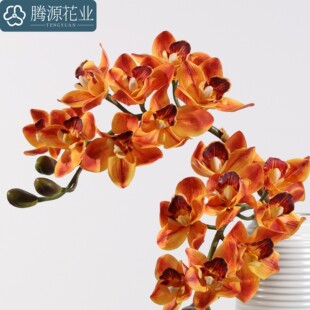 �ָ��^�{8�^��ޥ�m����|���m���^�m��ʽ�ٻ��ָб�������m��