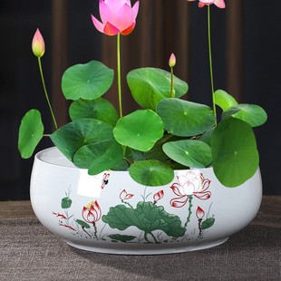 ˮ�໨���մ��~�X��˯ɏˮɏ����̎��o��ˮ�ɾW�t������