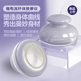 电子美容仪;面罩美容仪;其他美体瘦身