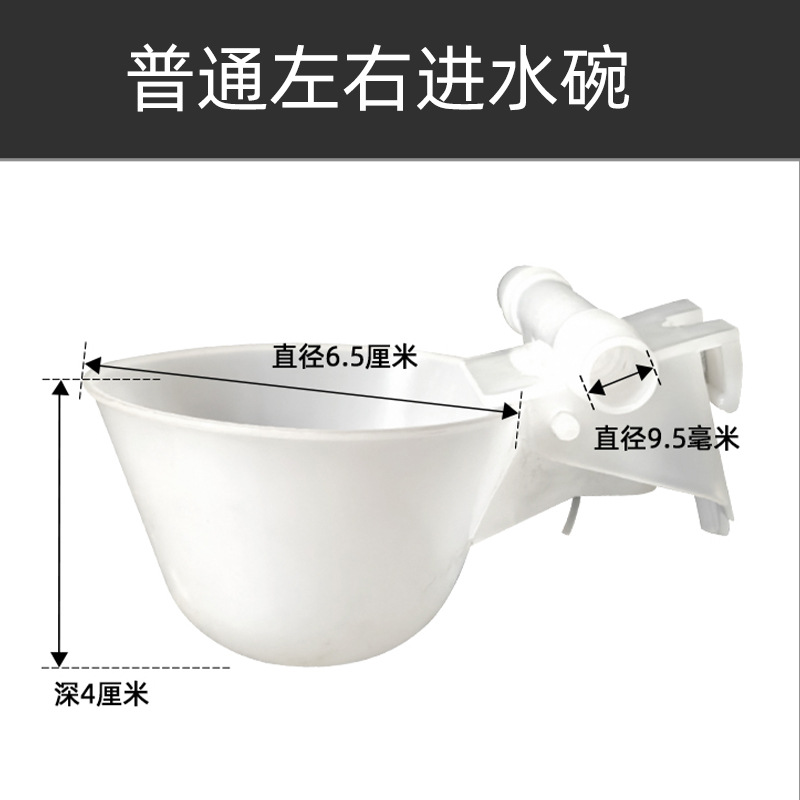 Tazón de agua de la paloma bebedor automático Loro Bird bebedor automático paloma caja de comida caja colgante bebedero