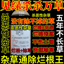 Ҋ�G�����f�ݰl�����@��@�}�������s�ݳ��݄����@������������