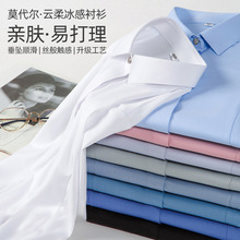 女士商务白色短袖衬衫夏季莫代尔职业装正装工作服免烫高弹衬衣