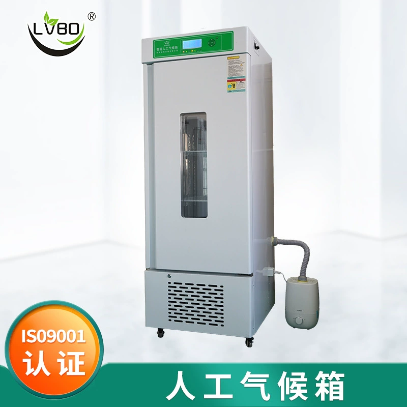 Источник фабрика в наличии оптом зеленый Bo LRG рассада искусственная коробка для культуры климатическая коробка рассада риса рассада пшеницы рассада