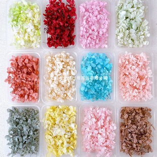 ���꽑�򻨲ĸɻ���Ь�NĘ�����ֈF�����Ů������5���b