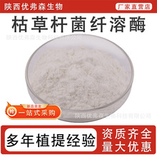 �ݲݗU���w��ø40000FU/g �l���ܽ� ʳƷ��ԭ�� ����ø �S����Ʒ