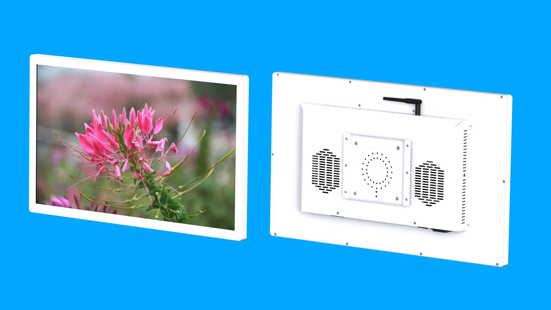 23.6寸19B款壁掛純平白色效果圖