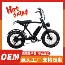 E-bike���l20��ѩ��늄���������܇���Ħɳ��ԽҰ܇��̥늄�܇