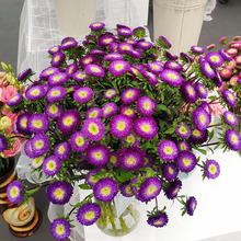 �M���r�л��N�Ѵ�շN�ӽq���� �����Ⱦջ��ļ����ݷN�����l