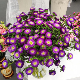 �M���r�л��N�Ѵ�շN�ӽq���� �����Ⱦջ��ļ����ݷN�����l