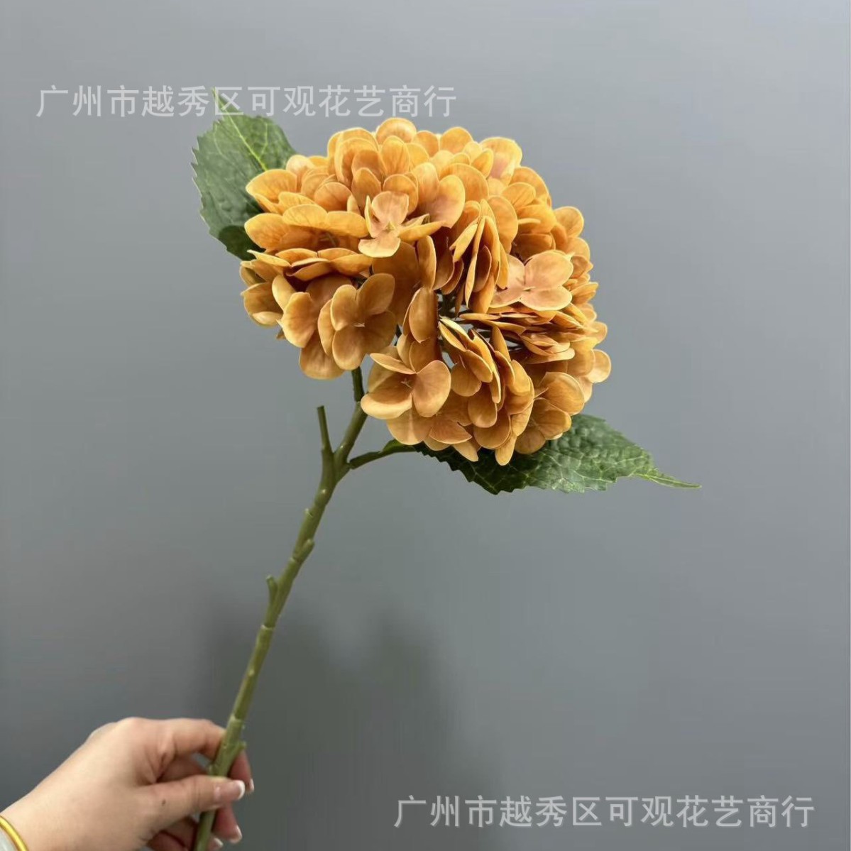 흙빛 노란색