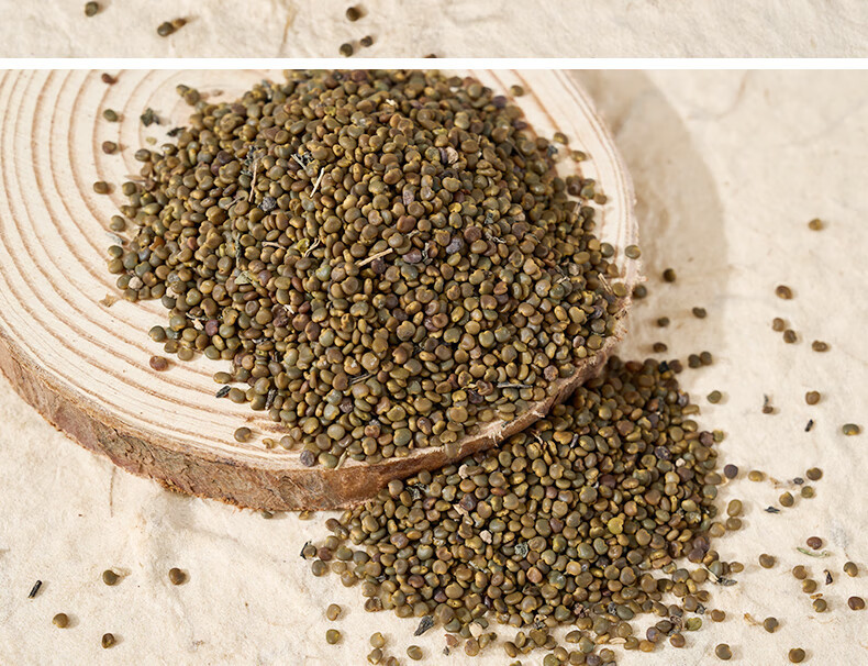 Sha Yuan Zi Seeds 500g Astragalus complanatus Dried Flattened Milkvetch Herbal Tea and Powder Ingredient preparation